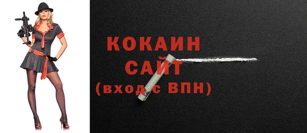 твердый Арсеньев