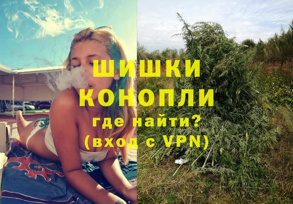 твердый Арсеньев