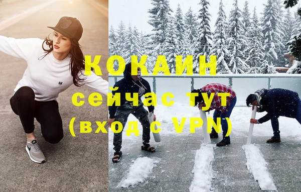 ешки Новозыбков