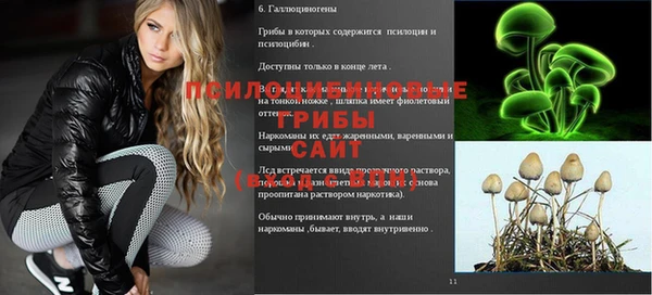 Альфа ПВП Армянск