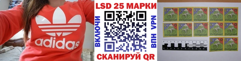 где купить наркоту  Долгопрудный  Марки NBOMe 1,8мг 