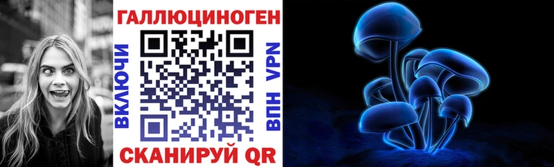 Галлюциногенные грибы мицелий  Долгопрудный 